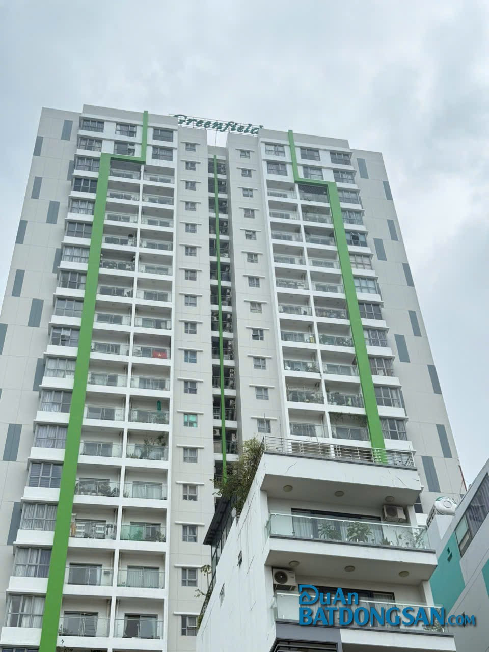 Hình ảnh